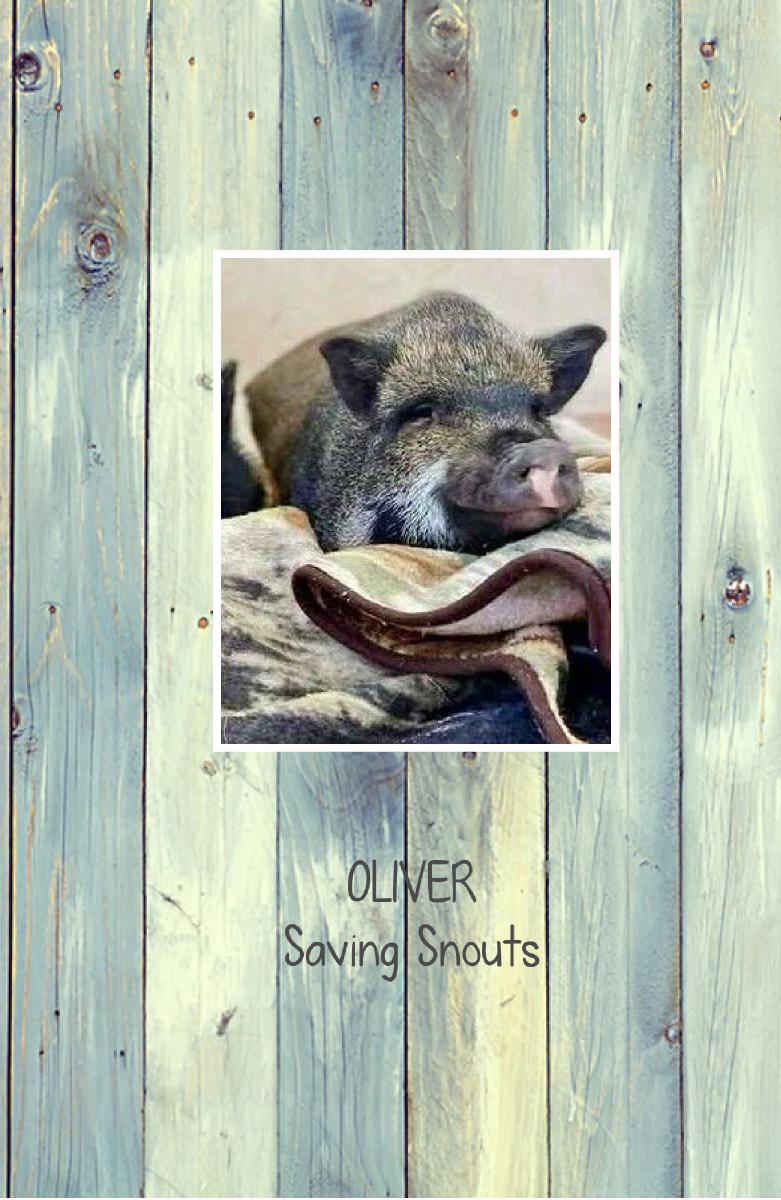 Saving Snouts Notebook