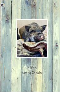 Saving Snouts Notebook