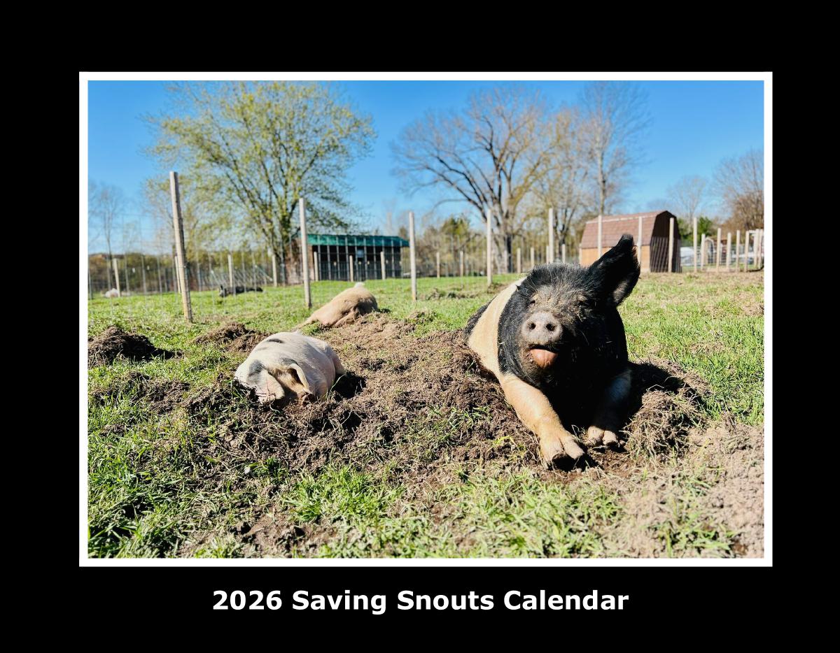 2026 Saving Snouts Calendar