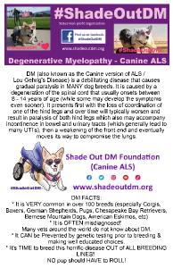 ShadeOutDM info flyer - What is DM