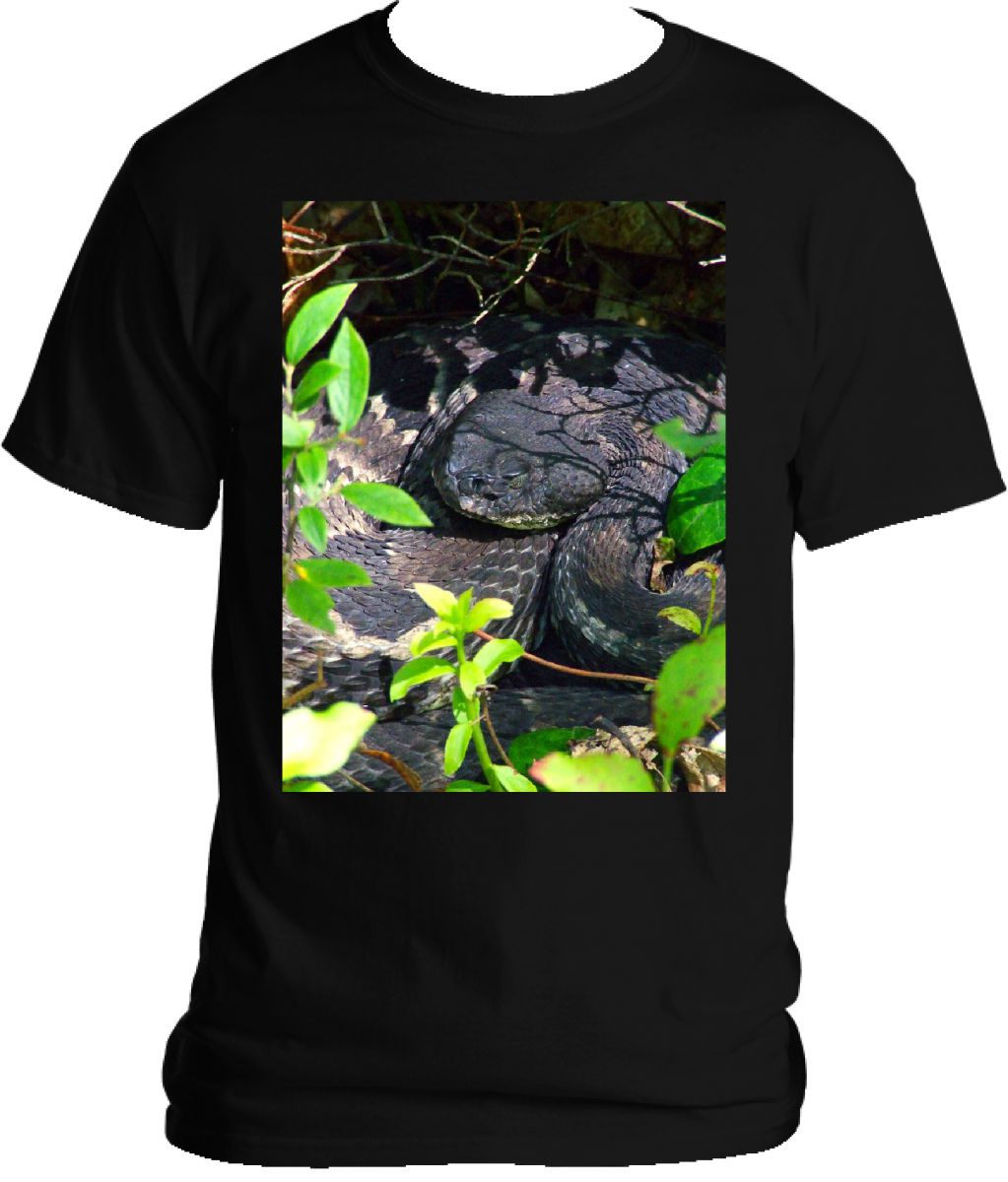 Rattlesnake T-shirt 2