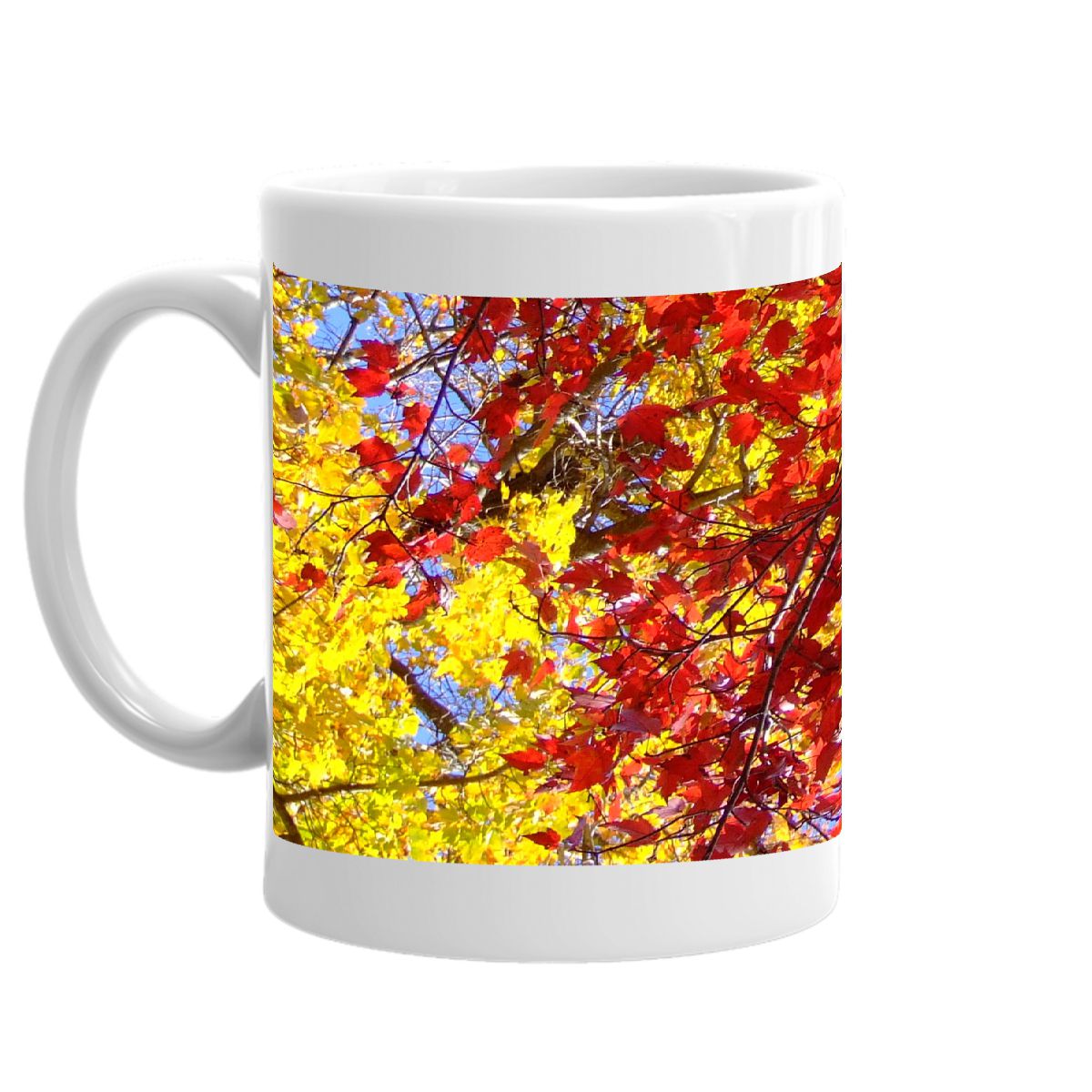 Autumn Foliage Mug