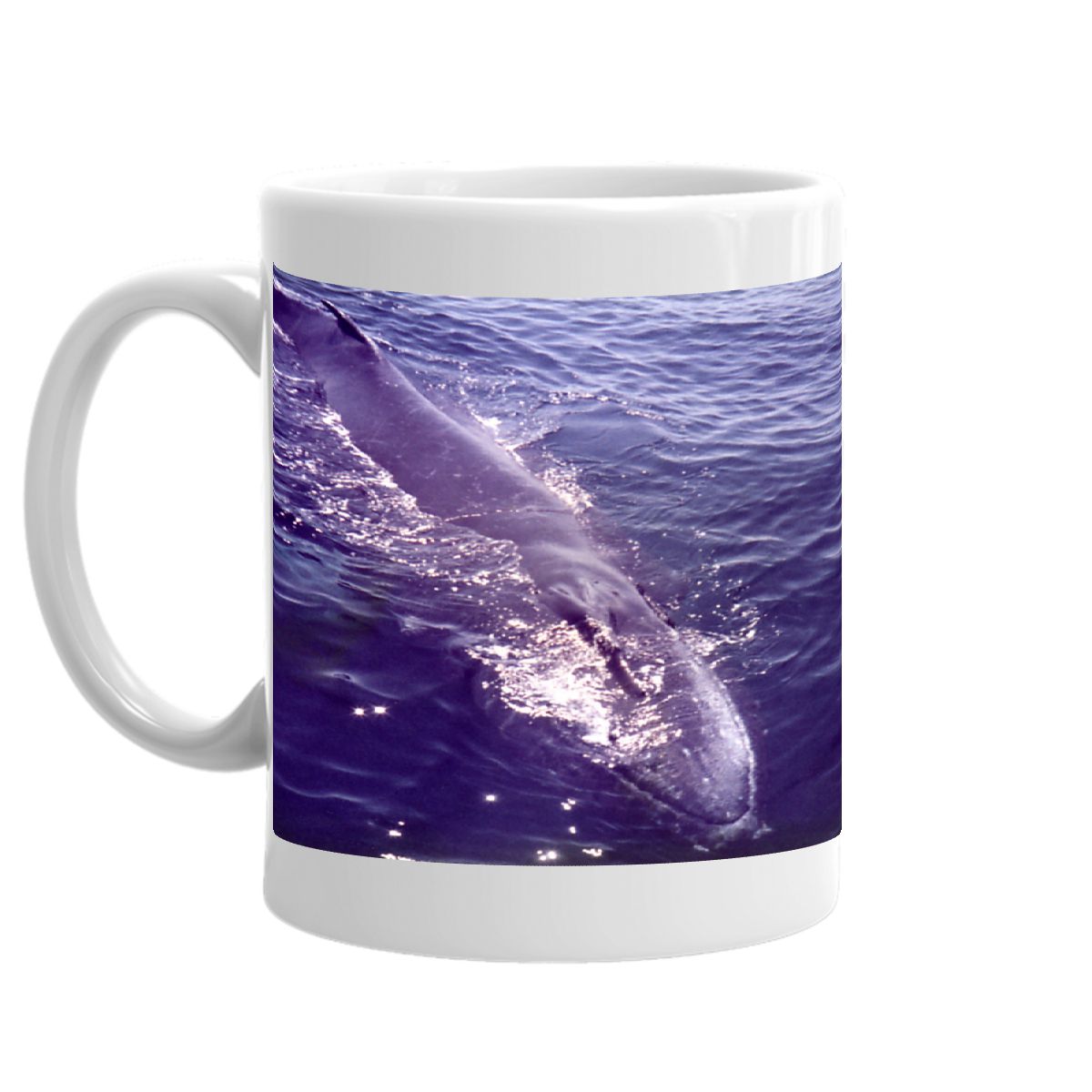 Humpback Whale Mug
