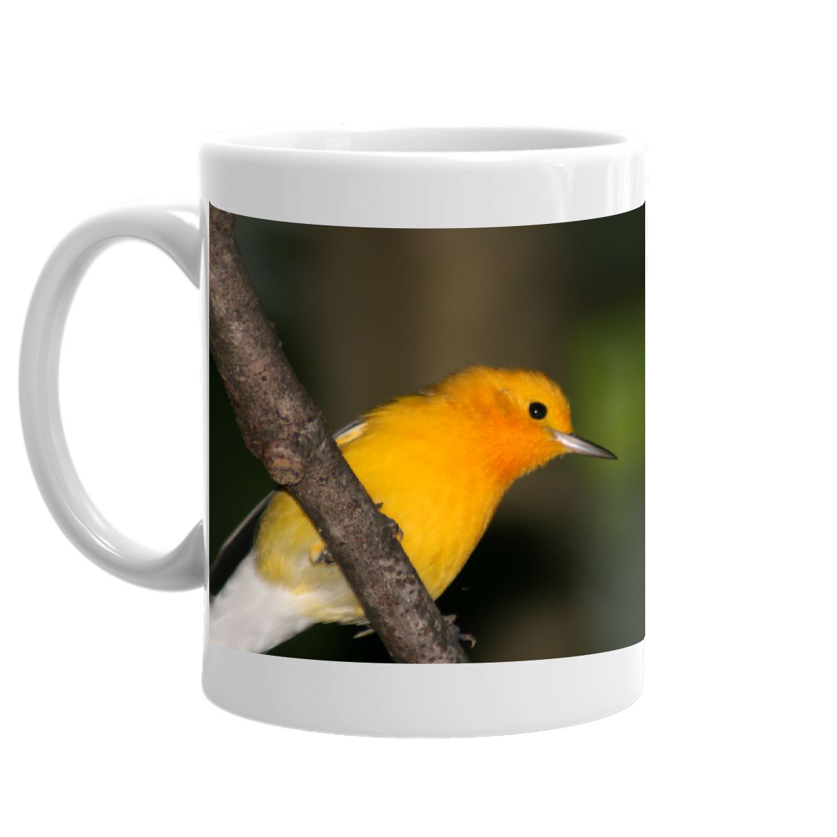 Prothonotary Warbler Mug