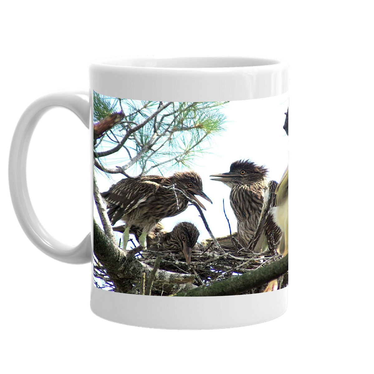 Baby Herons Mug