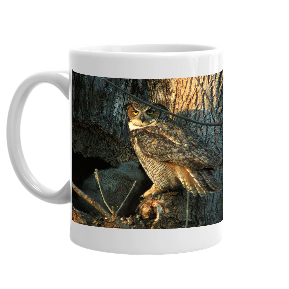 Mother Owl Mug