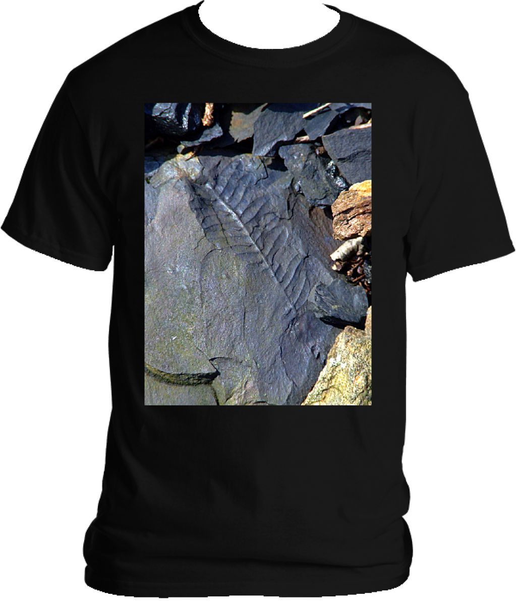 Fern Fossil T-shirt