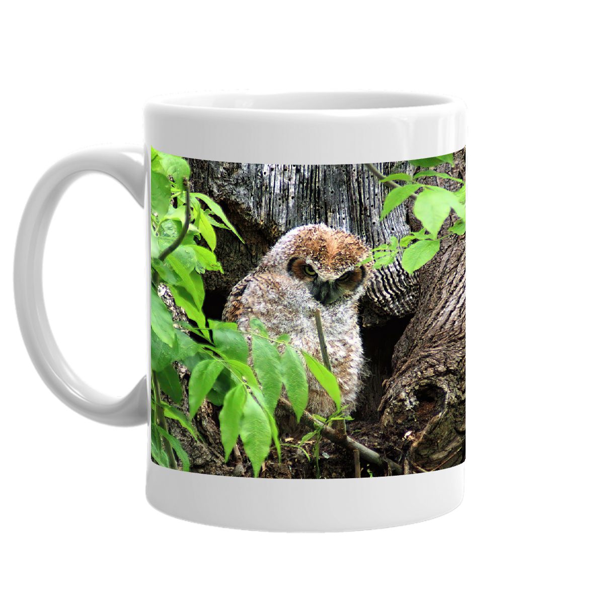 Owl Mug 2