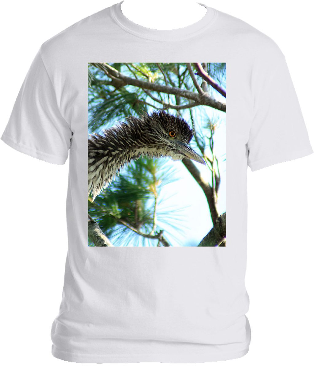 Juvenile Night Heron T-shirt
