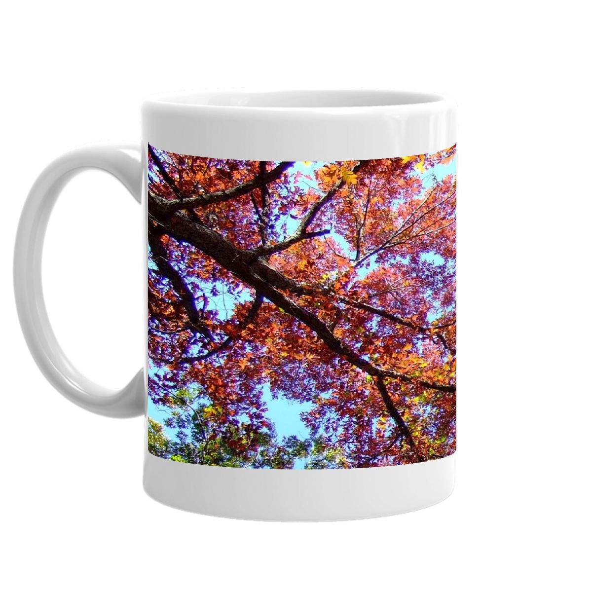 Autumn Foliage Mug 3