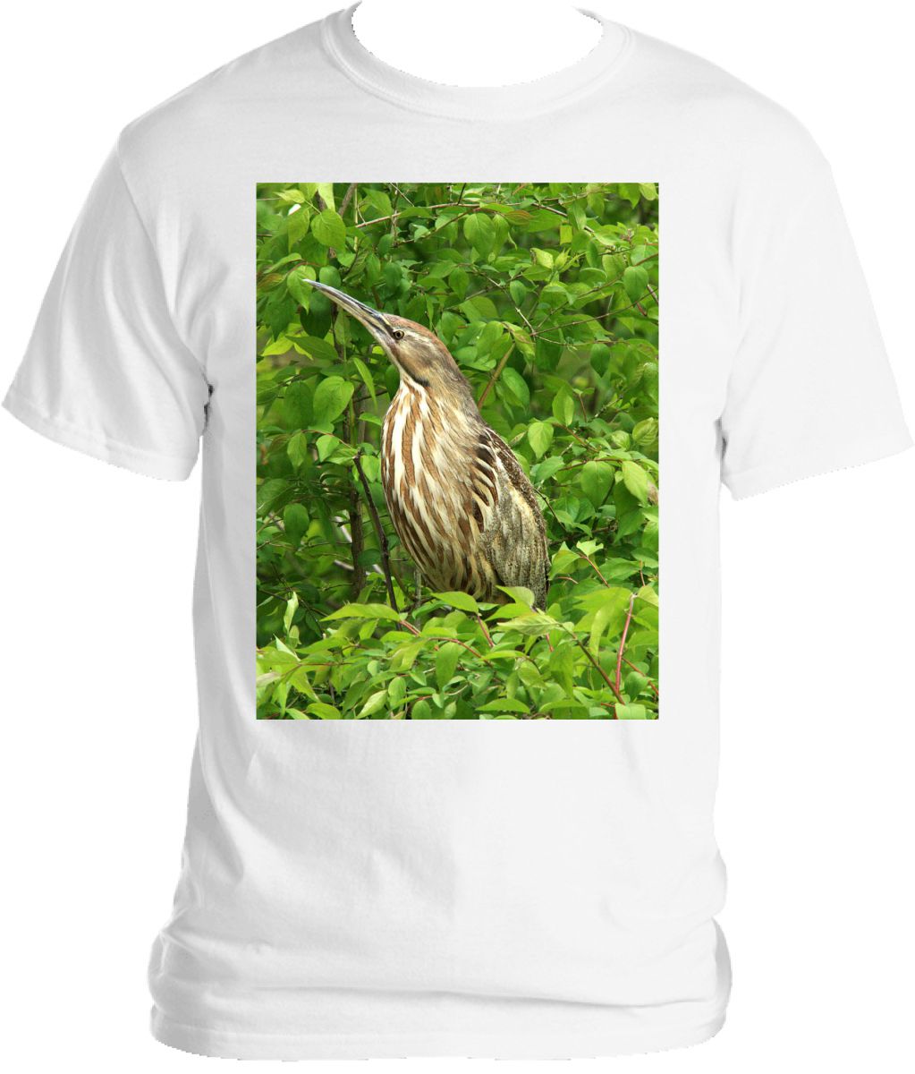 Bittern T-shirt 2