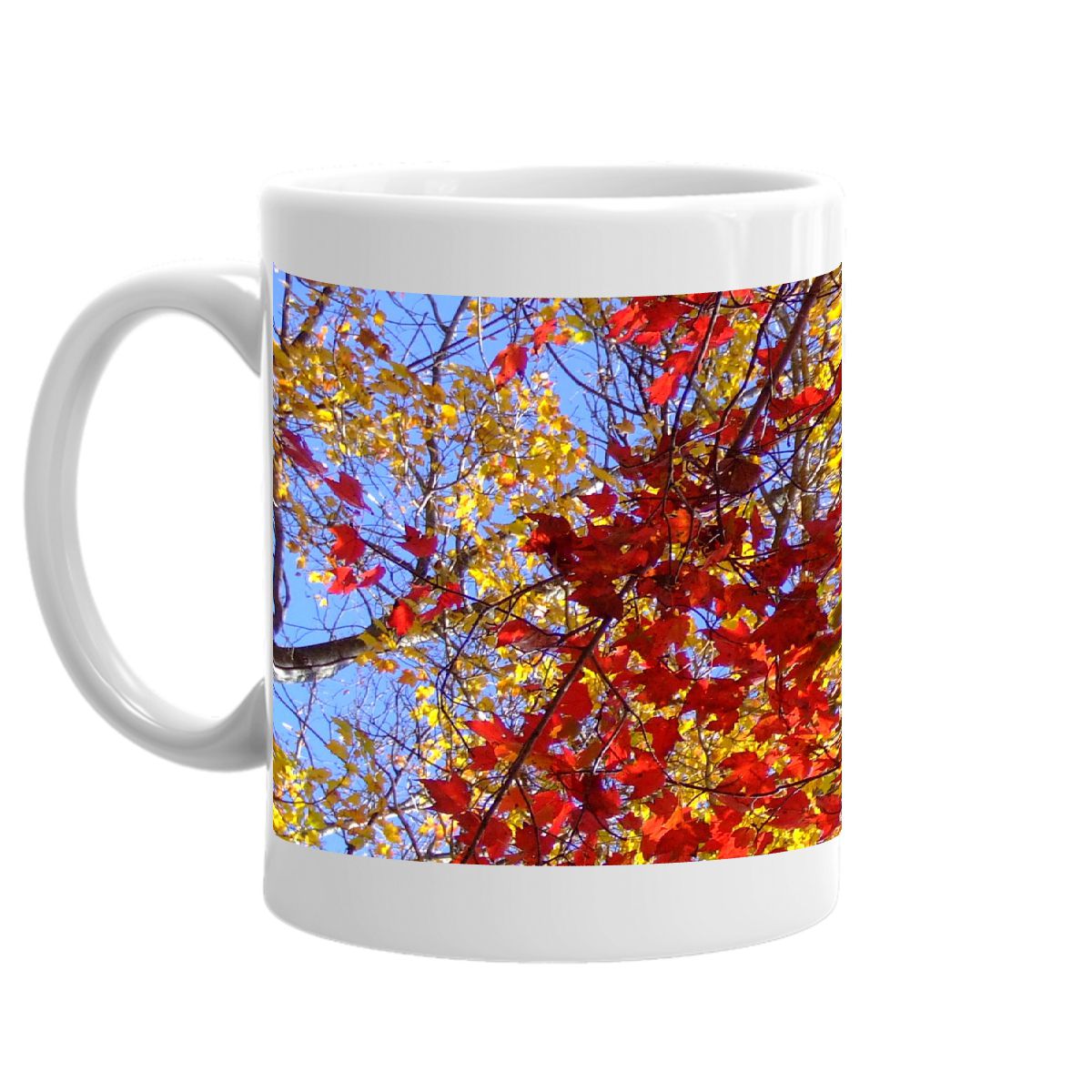 Autumn Foliage Mug 2