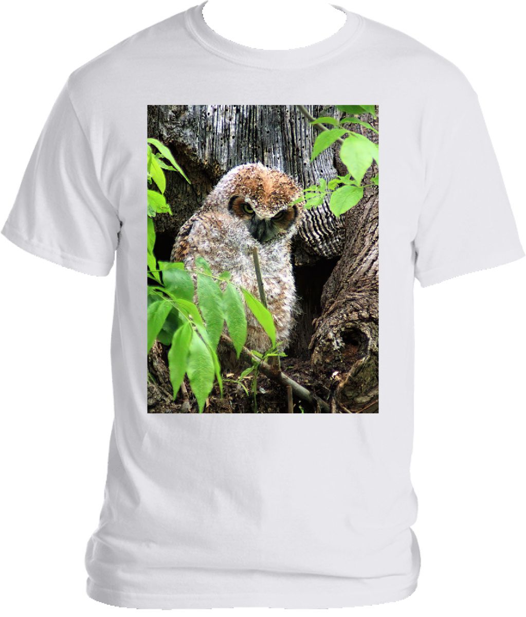 Owl T-shirt