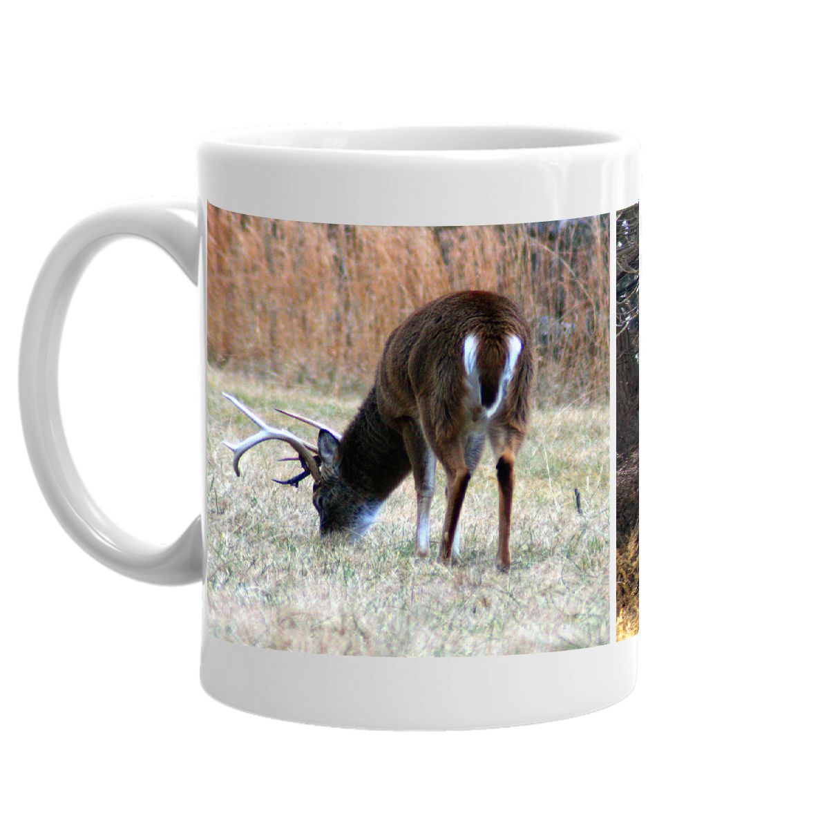 Buck Mug 7
