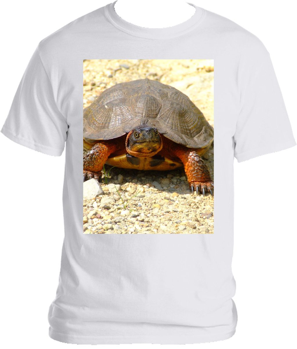 Turtle T-shirt 2