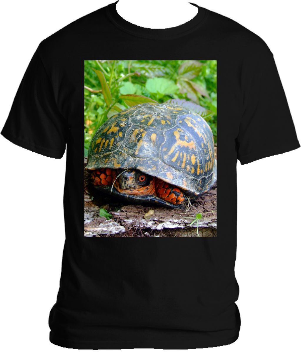 Turtle T-shirt