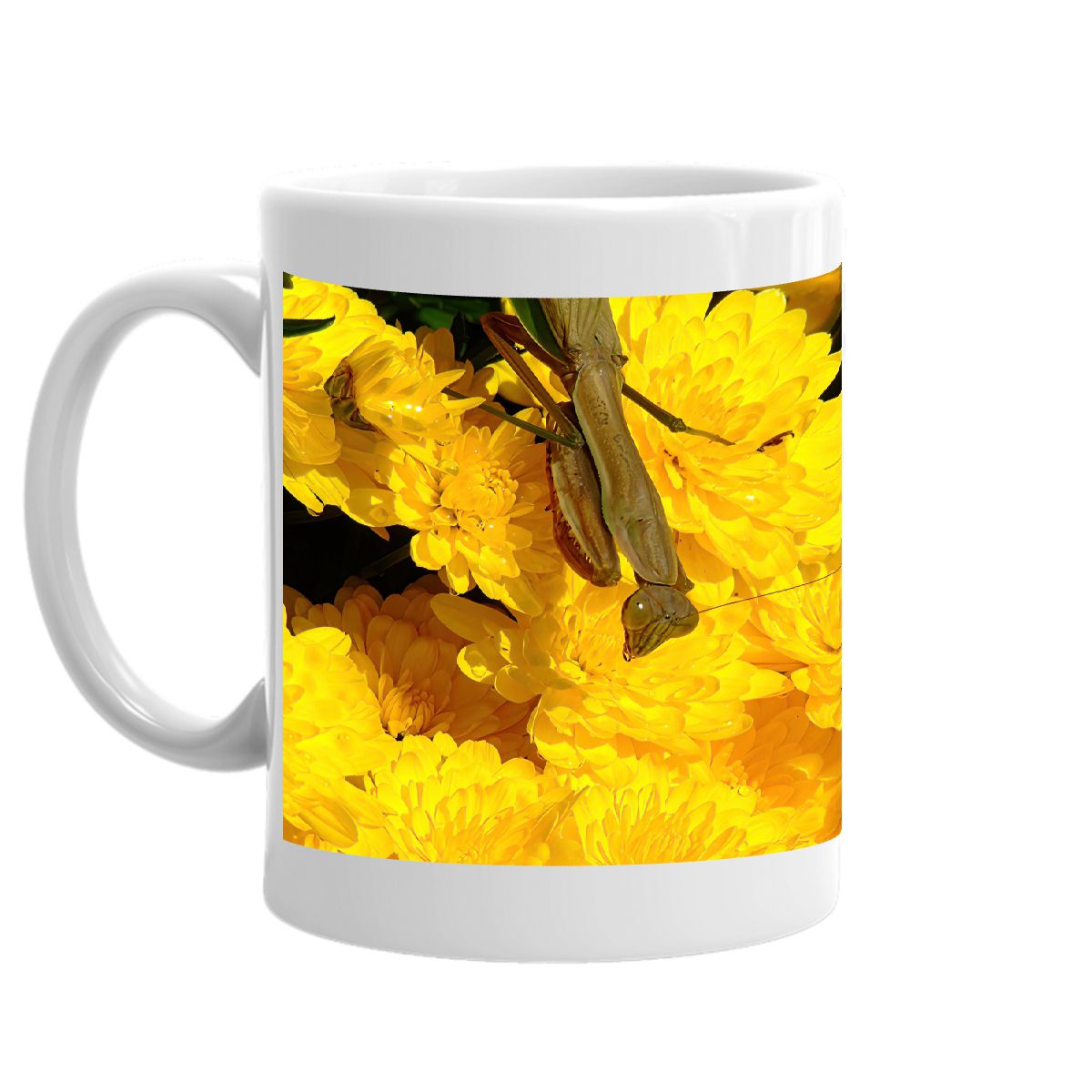 Praying Mantis on Flower Mug