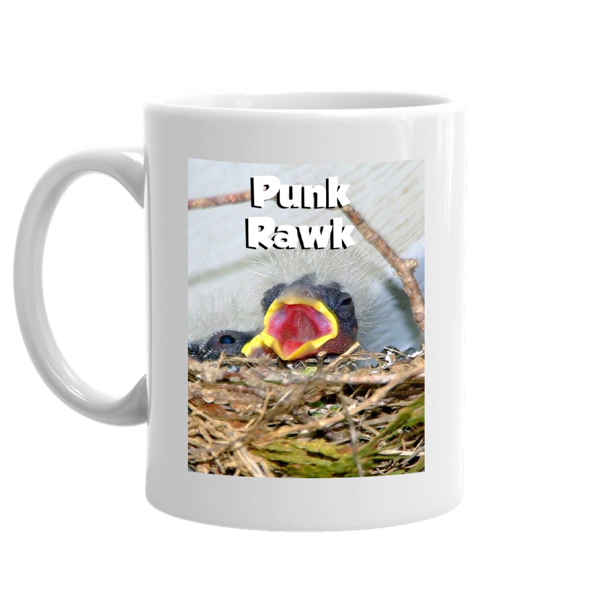 Punk Rawk Baby Bird Mug