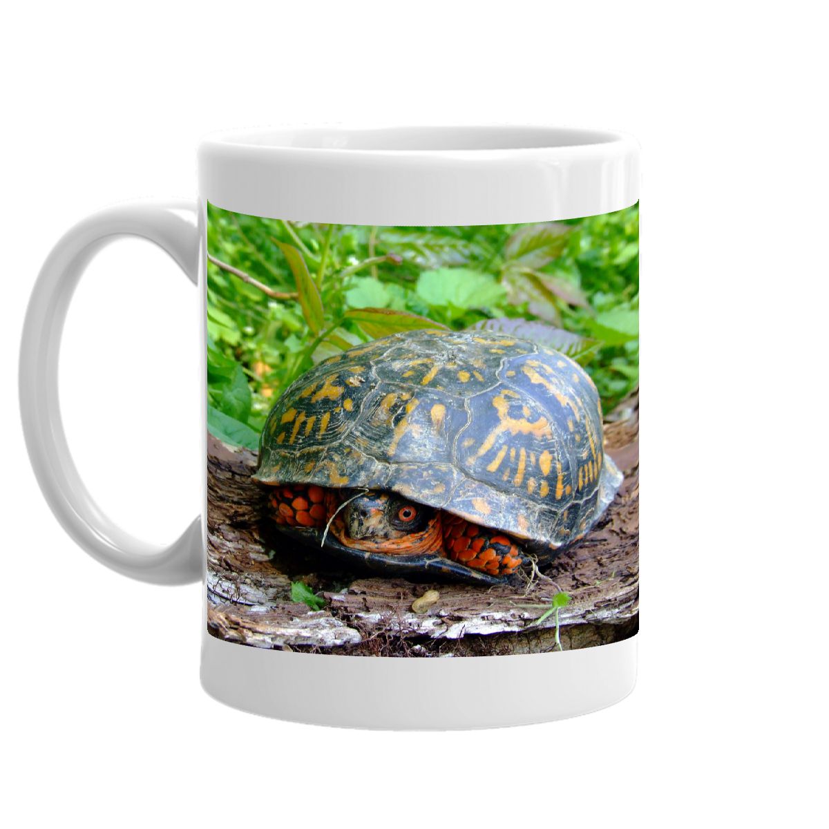 Turtle Mug