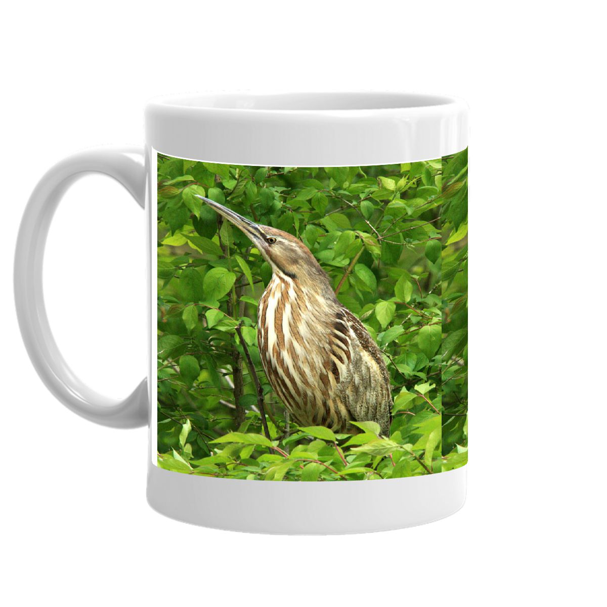 Bittern Mug