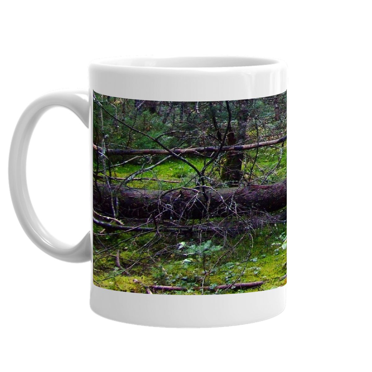 Lush Mossy Woods Mug
