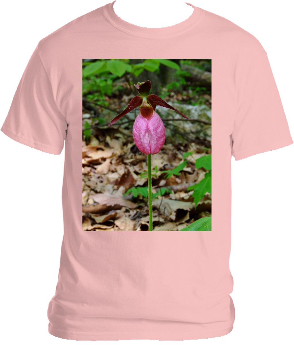 Prim And Proper Lady's Slipper T-shirt
