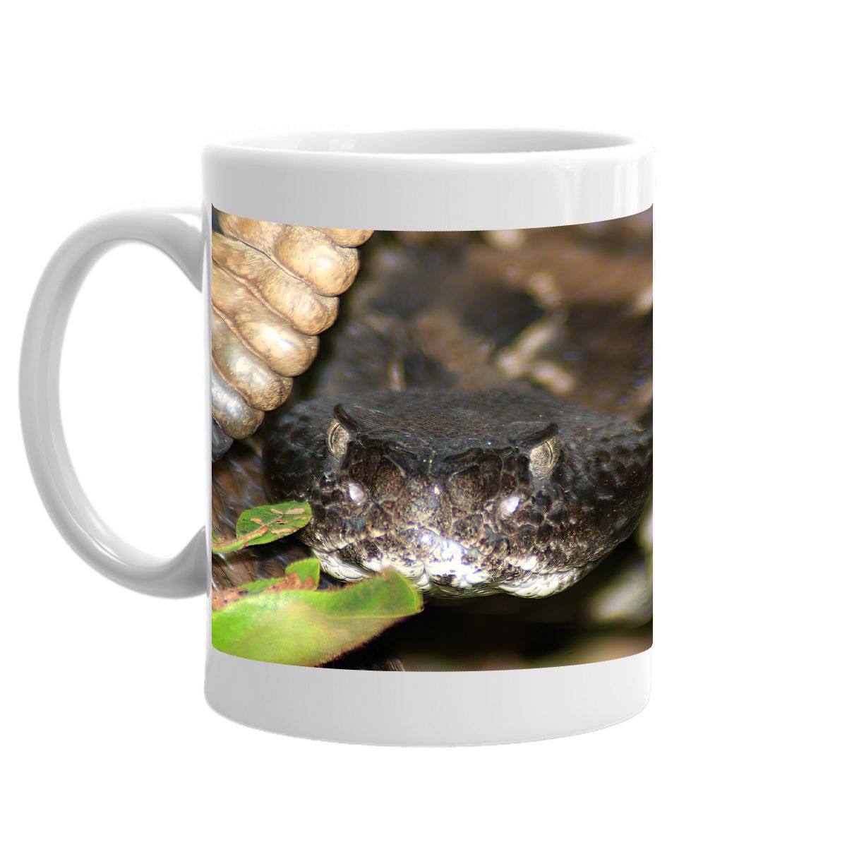 Rattlesnake Mug