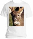 Buck Tee 4