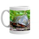 Turtle Mug