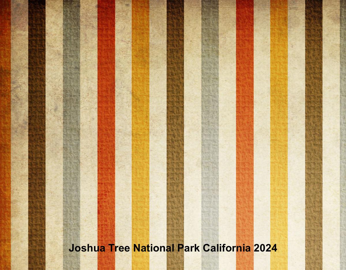 Joshua Tree National Park California