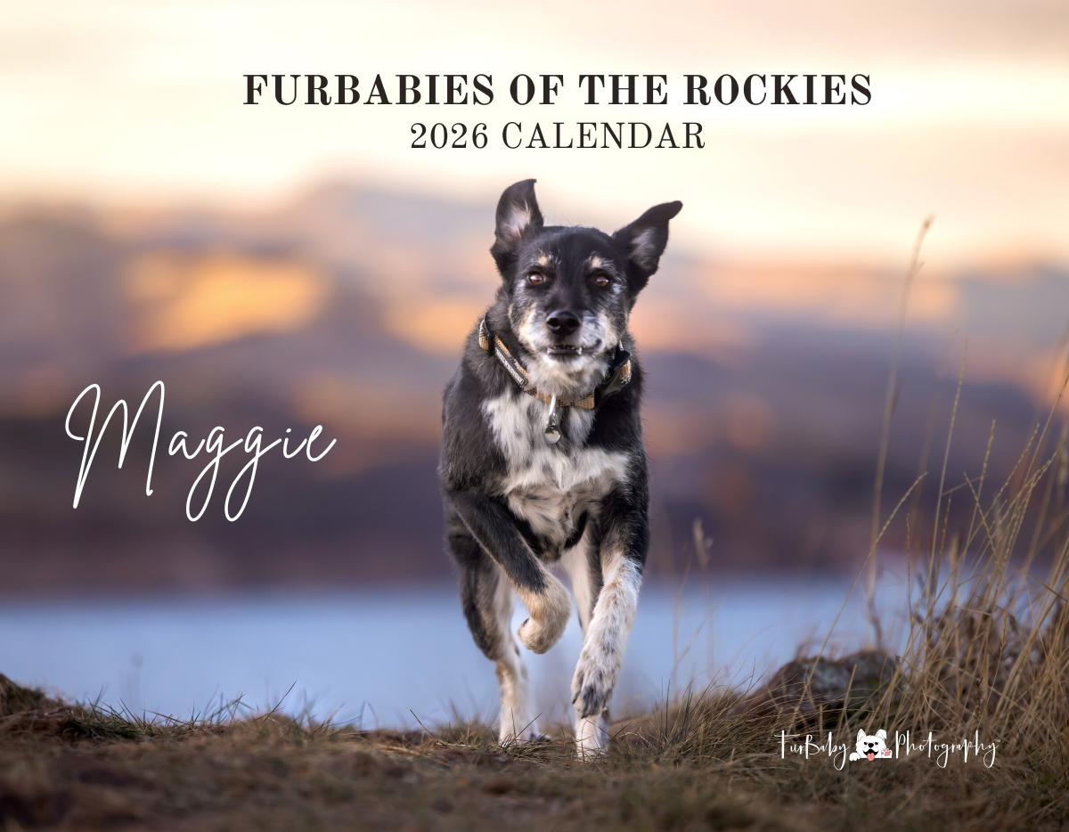 The Furbabies of the Rockies 2026 Calendar