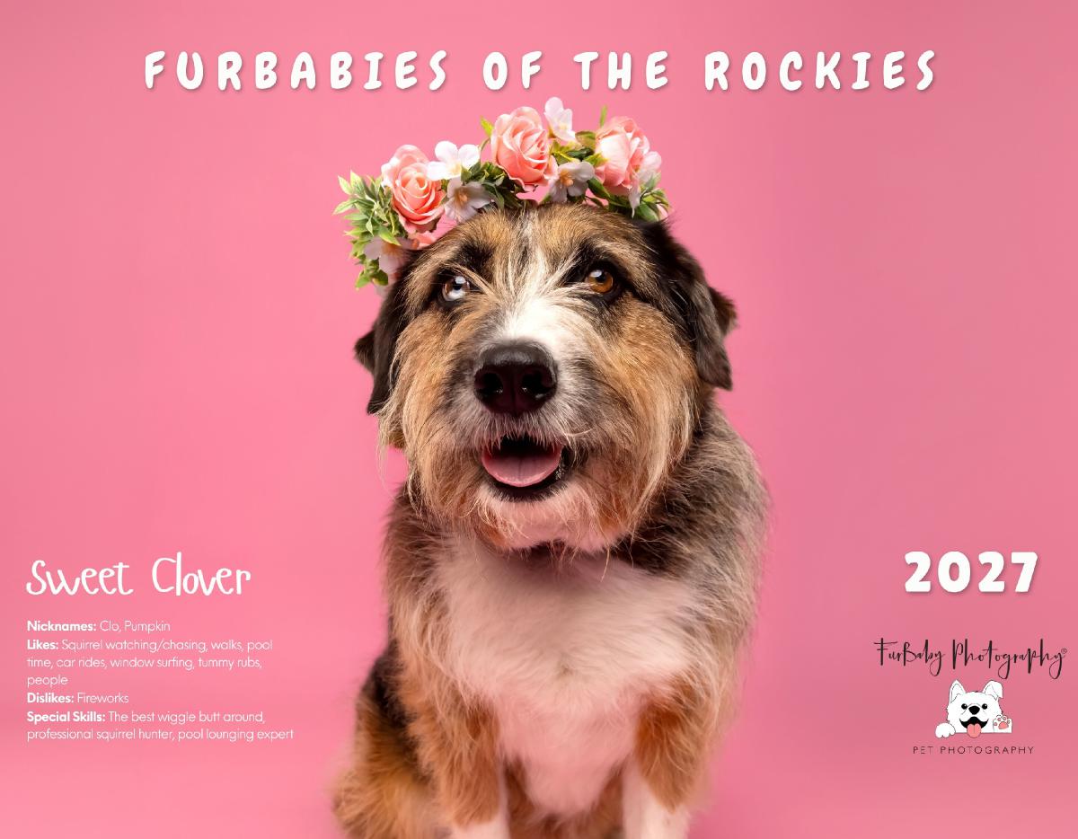 Furbabies of the Rockies 2027