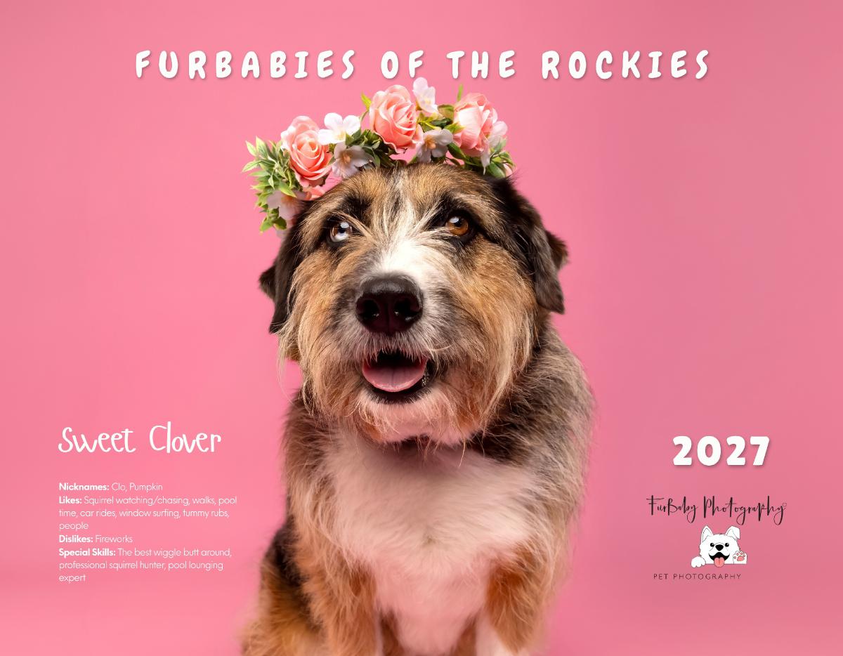 Furbabies of the Rockies 2027