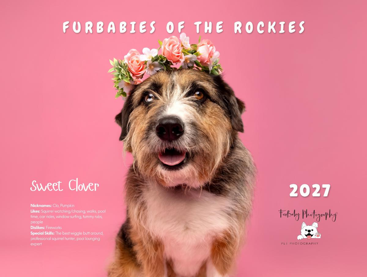 Furbabies of the Rockies 2027