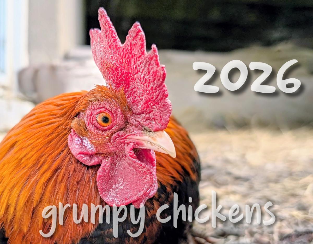 Grumpy Chickens 2026