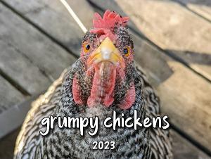 Grumpy Chickens 2023