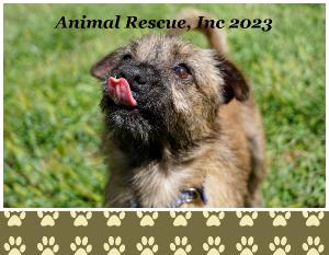 Animal Rescue Inc