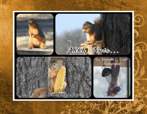 Ah Nuts A Collection Of Cute Squirrels