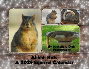 2024 Squirrel Calendar