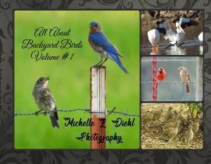 All About Backyard Birds Vol #1