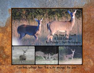 Oh, My Deer, It's Deer!!!