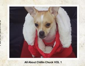 All About Chillin Chuck Vol 1