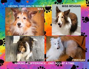 shiloh8
