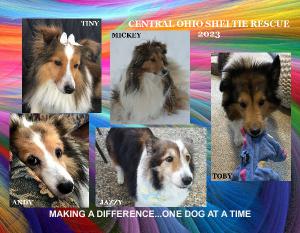 shiloh8