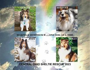 shiloh8