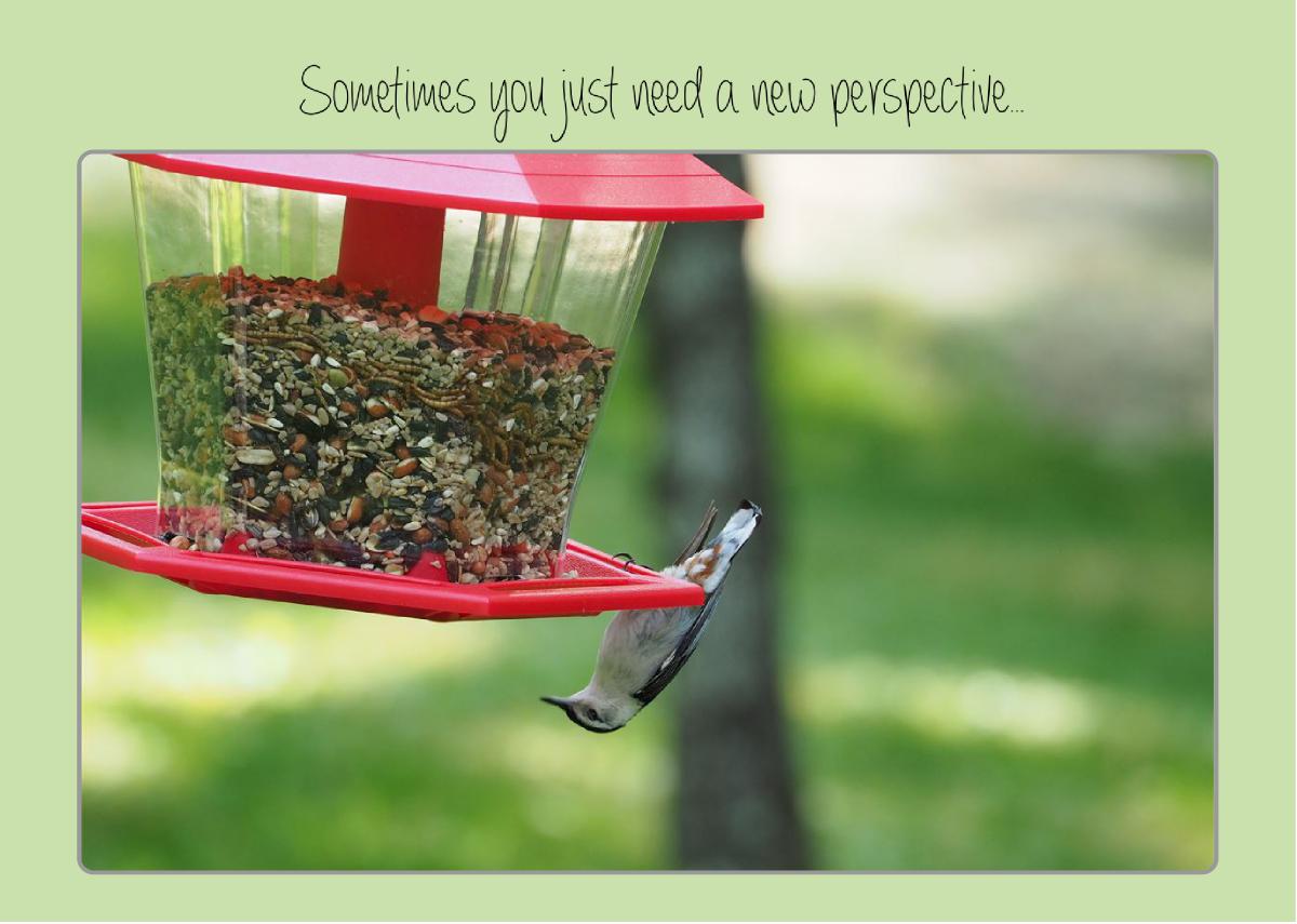 New Perspective card