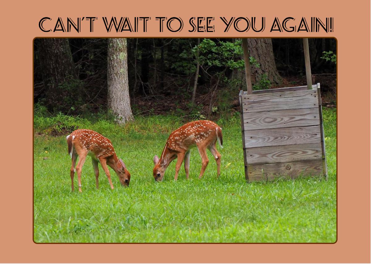 Fawns - Can’t wait to see you again card