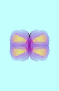 Beautiful Butterfly Notebook