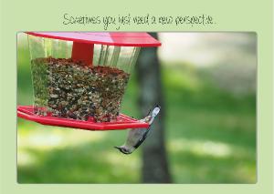 New Perspective card
