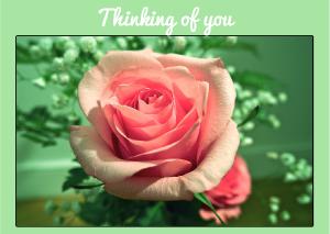 Thinking of You Rose card
